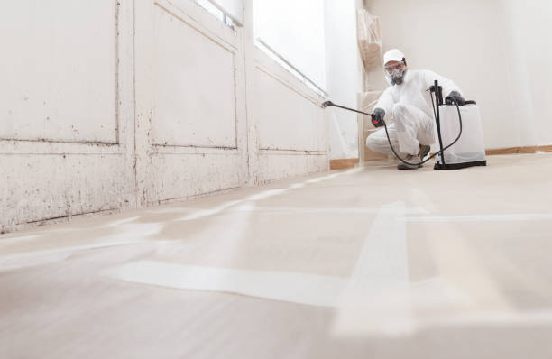 24/7 Emergency Basement Mold Remediation experts in Brookshire, TX